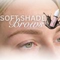 SOFT SHADE BROWS