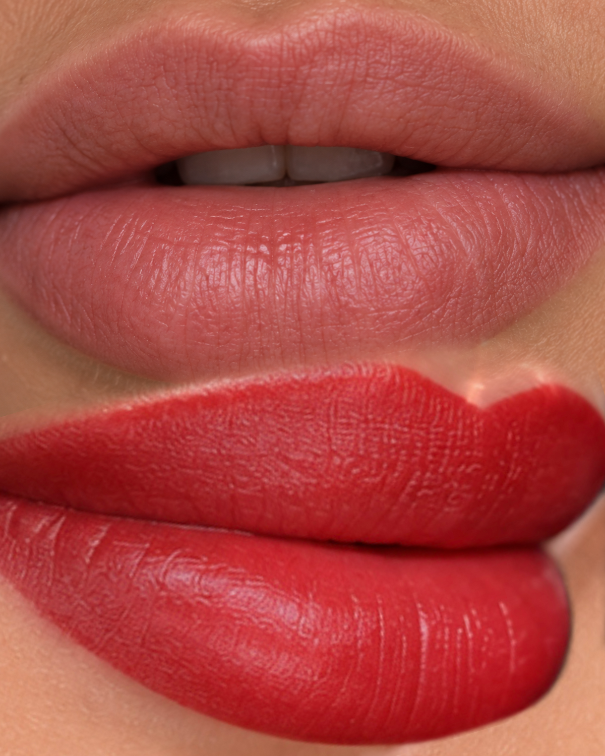2 in 1 Schulung - LIPPEN / LIPS - ONLINE + VOR ORT